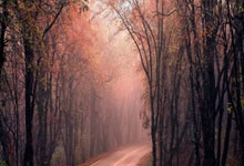 利用社会闲置资源，让闲置资源“活”起来